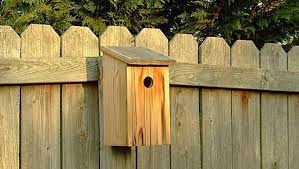 Build A Basic Birdhouse Free