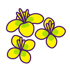 Arugula Flower Icon Design Fl Icon