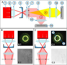 adaptive phase contrast microscopy to