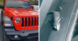 Jeep Easter Eggs