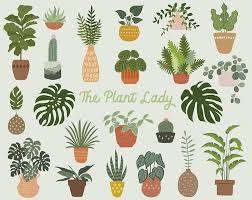 House Plant 255 Free Vectors To