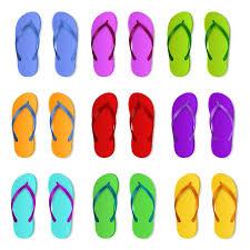 Realistic Color Slippers Isolated 3d