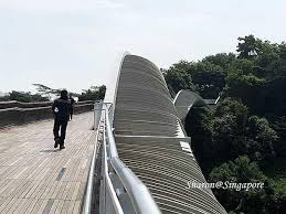 henderson waves bridge