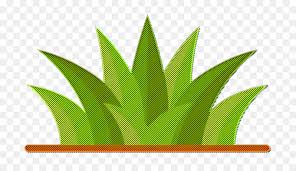 House Plants Icon Grass Icon Png