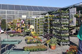 Florists Greenhouses And Garden