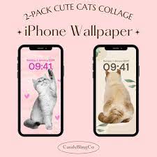 Cute Cat Wallpaper Iphone Background