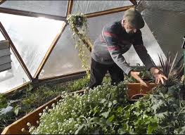 Winter Greenhouse Gardening In A