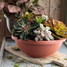 Garden Bowl Planter Pot