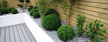 8 Thrifty Landscaping Ideas To