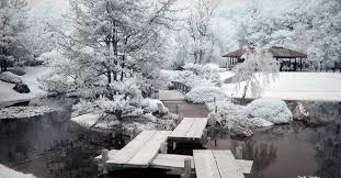 Botanical Gardens Gorgeous Winter Path