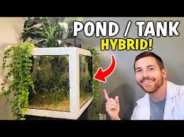 Indoor Outdoor Aquarium Pond Hybrid