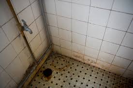 Shower Cleaning S Tips For