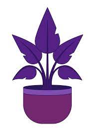 Purple Houseplant In Flowerpot Flat