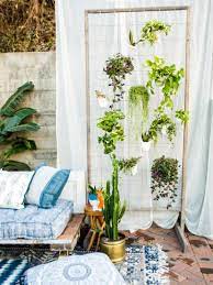 How To Make A Diy Privacy Plant Wall