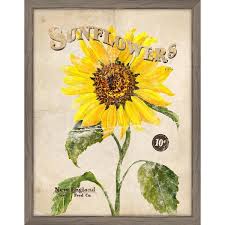 Melissa Van Hise Seed Packet Sunflower
