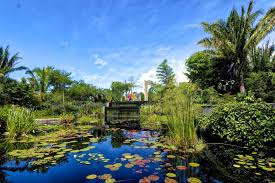 Top 5 Botanical Gardens To Visit In