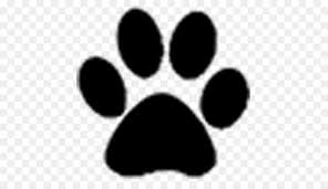 Dog And Cat Png 512 512