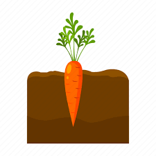 Carrot Farm Fruit Harvest Plant