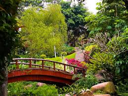 Small Bridge And Flowing Water Garden
