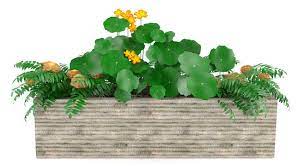 Planter Box Images Browse 5 710 Stock