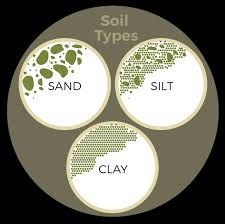 Better Plants Know Your Soil Texture