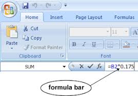 Microsoft Excel 2007 Excel Formulas