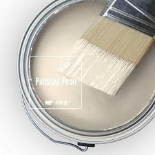 Polished Pearl Matte Interior Paint