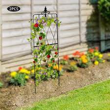 Design Garden Climbing Plants Trellis