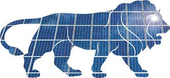 Solar Pv Projects In India
