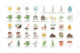 Plants Care Icon Collection Graphic By