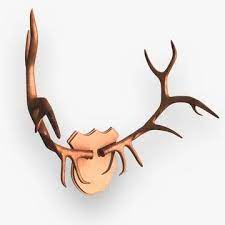 Deer Antlers 3d Model