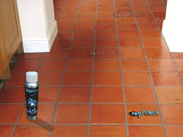 Terracotta Floor Tile Cleaning And