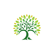 Tree Care Services Manor Gardens Tree