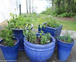 Easy Diy Kitchen Herb Garden In Deck