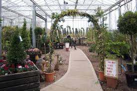 Best Garden Centres Solihull