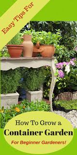 Container Vegetable Garden Plans And Ideas