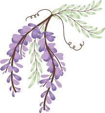 Home Wisteria Cottages