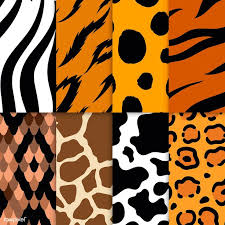 Set Of Seamless Animal Print Pattern