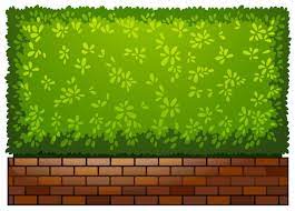 Garden Wall Images Free On