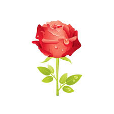 Red Rose Flower Fl Icon Realistic