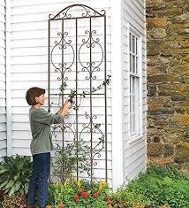 Tall Scroll Outdoor Garden Trellis