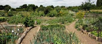 Permaculture The Basics Agricology