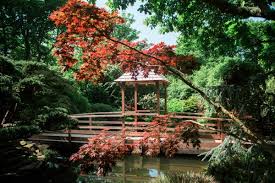 Japanese Gardens Great British Gardens