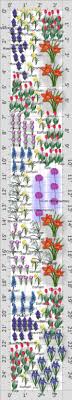 Flower Garden Plans Layouts The Old