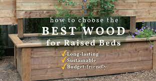 Best Wood For Raised Garden Beds