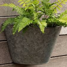 Buy Galvanised Wall Planter Delivery