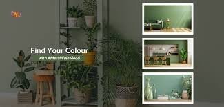 15 Perfect Wall Colours To Transform