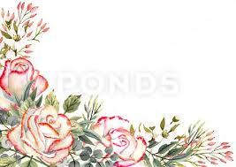 Watercolor Rose Flowers Leaves Decor