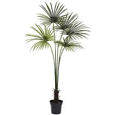 Indoor Outdoor Fan Palm Tree