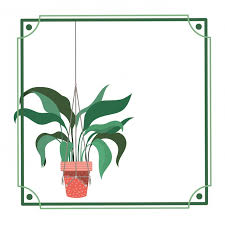 Frame With Houseplant On Macrame Hangers